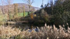 009 - im Hintergrung der Adlerberg